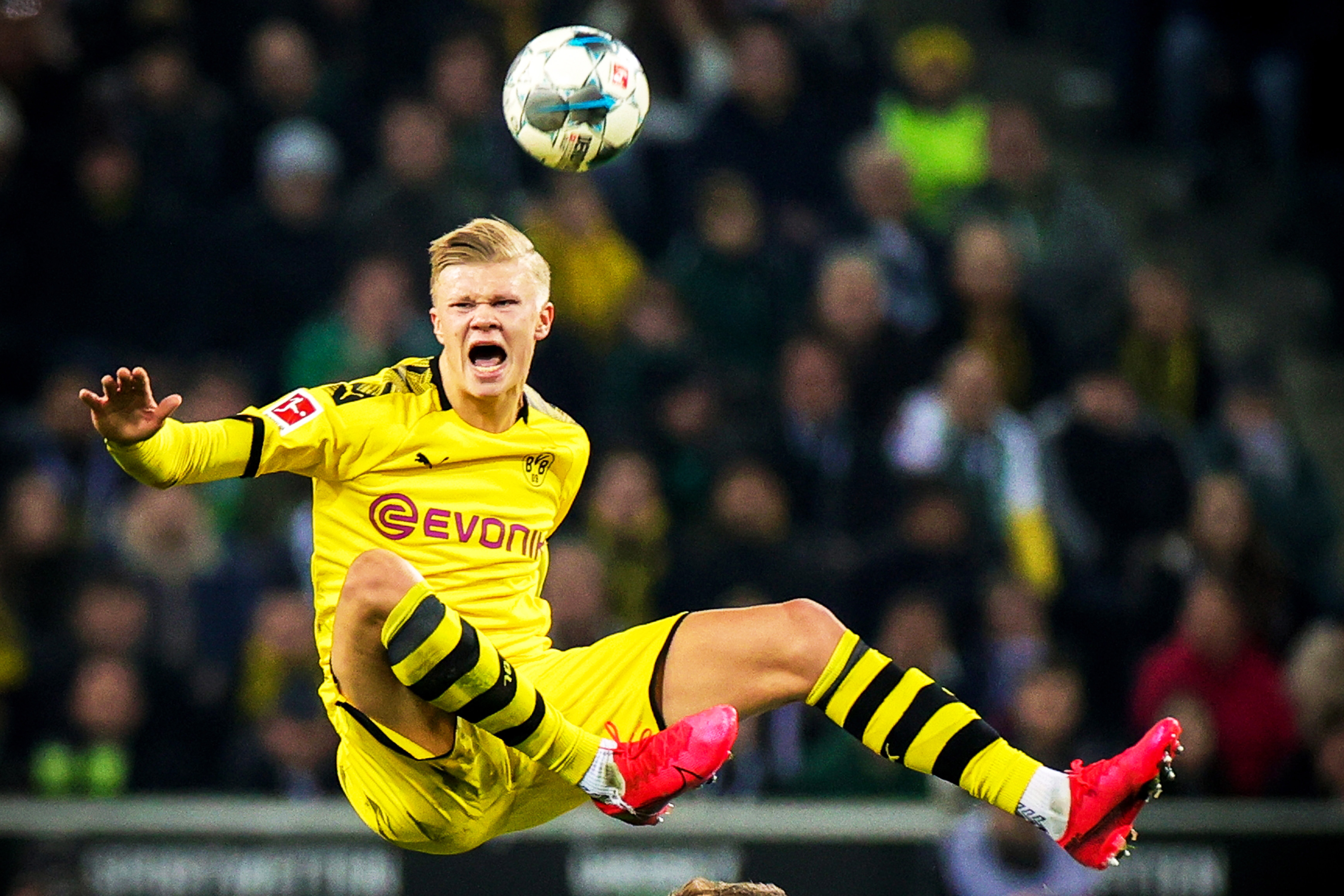 鲁媒：泰山将于明年1月3日重新集结，随后前往海口进行冬训