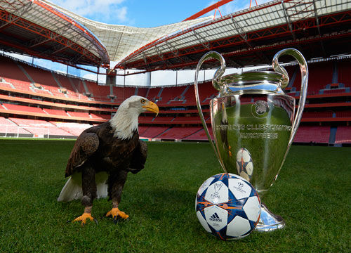 Shams：预计特雷·杨本月晚些时候复出，老鹰仍相信他